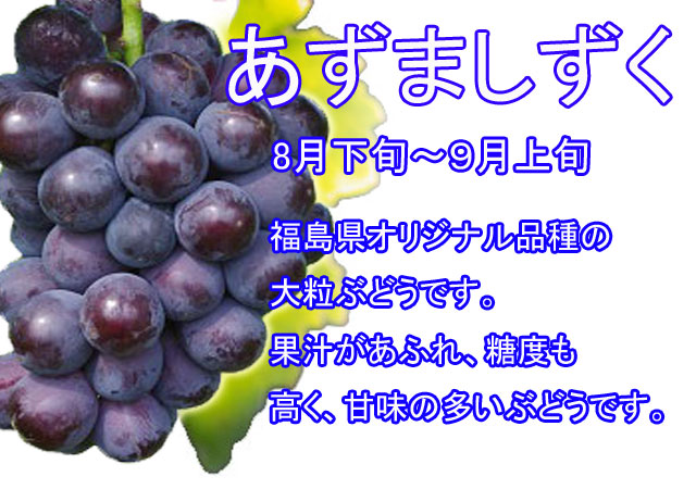 ぶどう狩り，あずましずく，福島県オリジナル品種の大粒ぶどうです。果汁があふれ、糖度も高く、甘味の多いぶどうです。